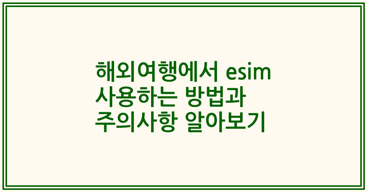 해외여행에서 esim 사용하는 방법과 주의사항 알아보기